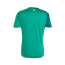 CAMISOLA DA SELEÇÃO DA IRLANDA 26/27 VERDE